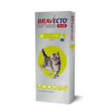 Bravecto Plus for Cats