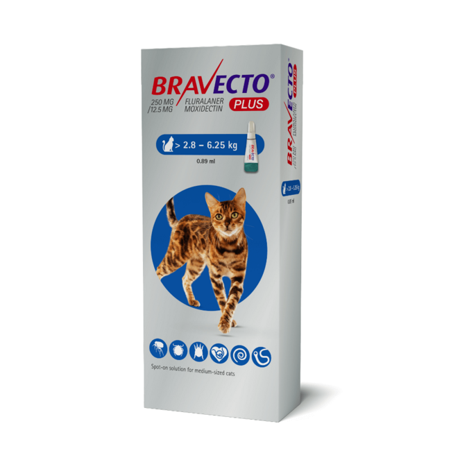 Bravecto Plus for Cats