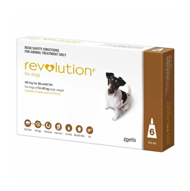 Revolution for Dogs & Cats