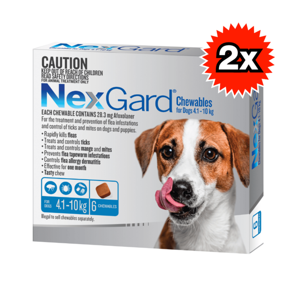 Nexgard for Dogs